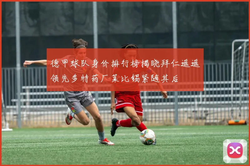 德甲球队身价排行榜揭晓拜仁遥遥领先多特药厂莱比锡紧随其后